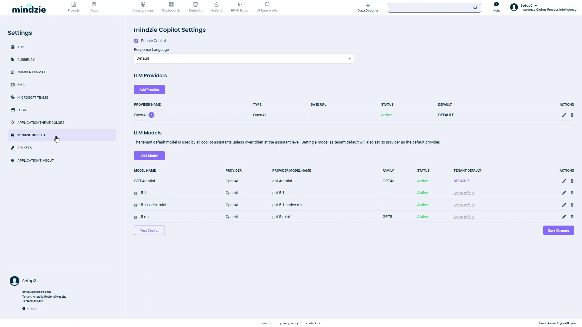 Copilot Settings page showing LLM Providers and LLM Models sections