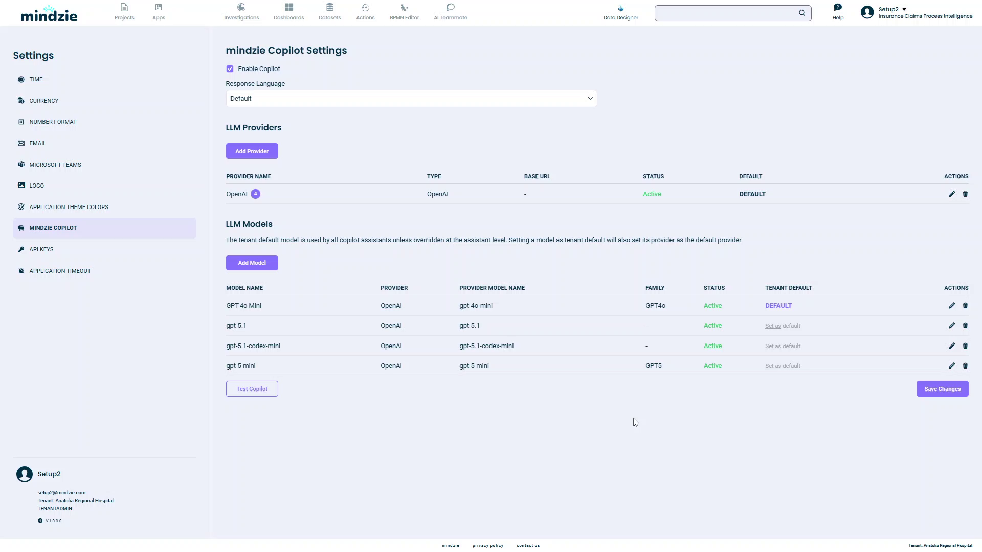 Copilot Settings showing OpenAI provider in the providers table
