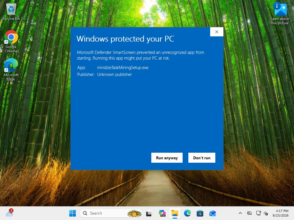 Windows protected your PC, after clicking More info, with the Run anyway button