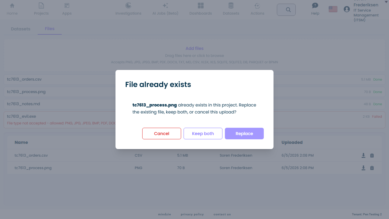 Duplicate file dialog