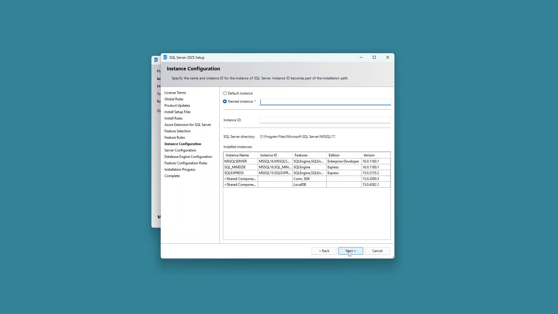Instance Configuration screen