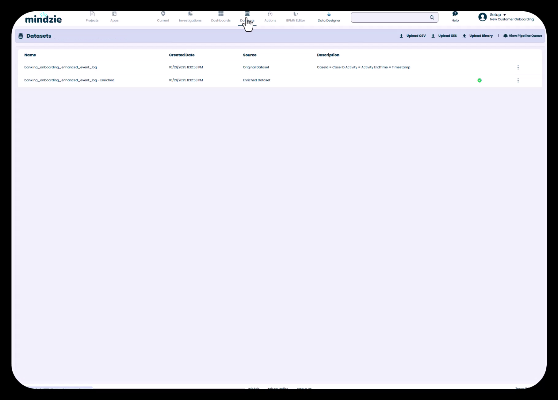 Datasets View