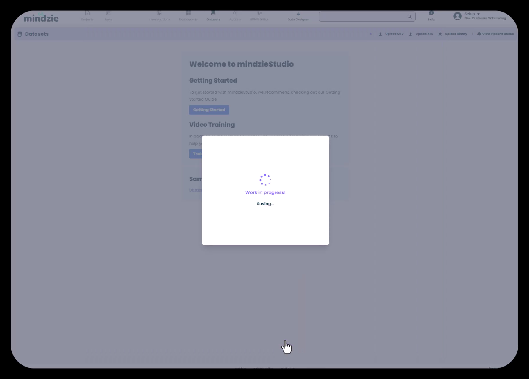 Dataset Saved Confirmation